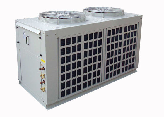 Acondicionador de aire partido canalizado multi R22 con el compresor hermético de la voluta